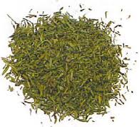 ESTRAGON 20g.