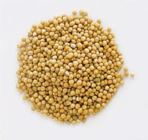 GORCZYCA BIAŁA 1kg.