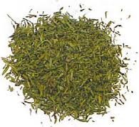 ESTRAGON 20g.