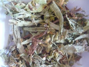 STEWIA 20g